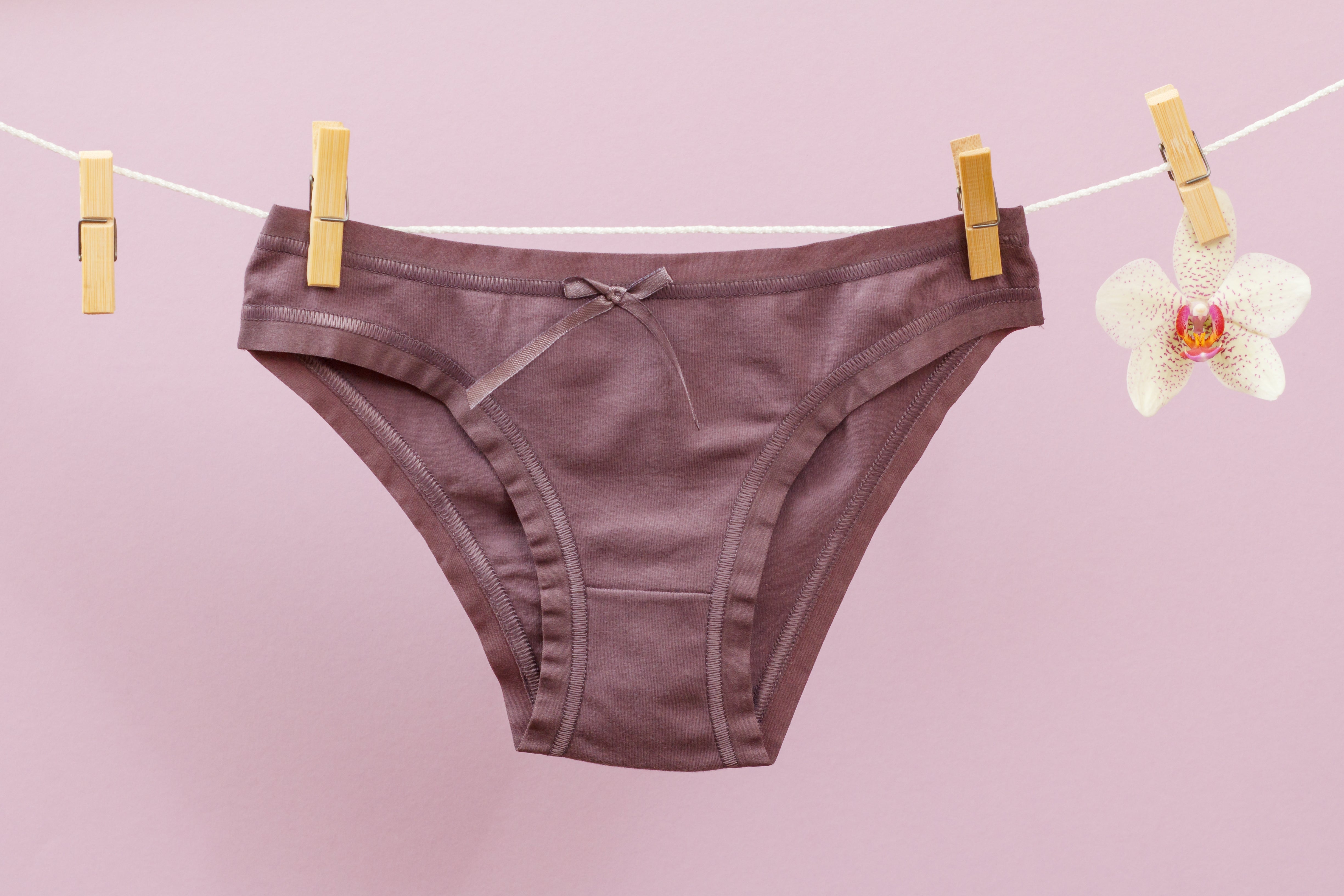 Women's panties