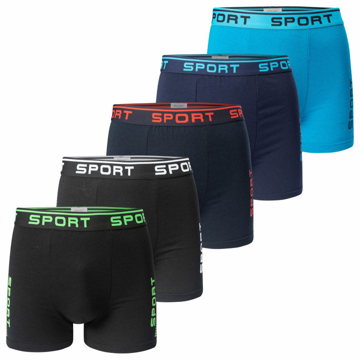 Men's boxer shorts SPORT T091 4 pieces in a pack
