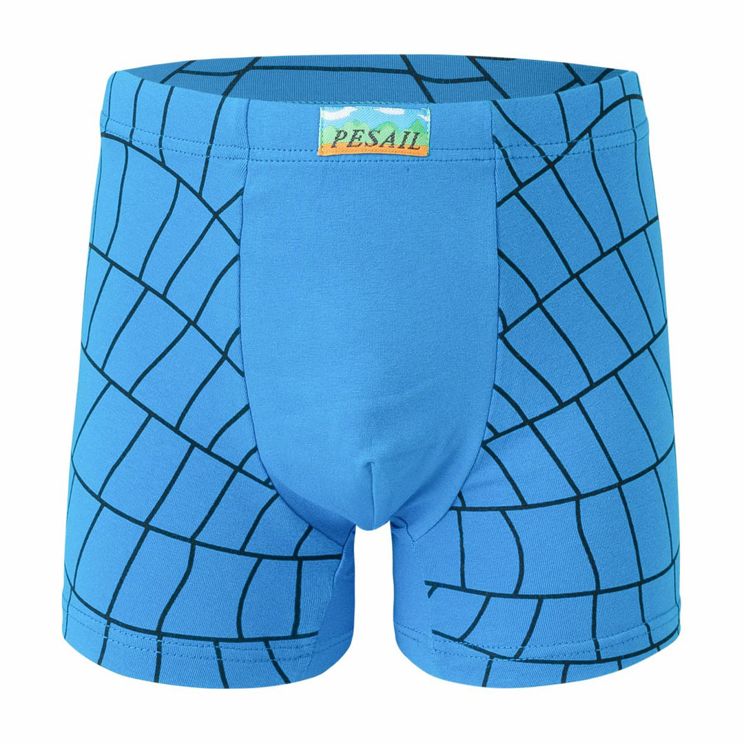 Boys' Boxers Spider Web PE-XQ2617 4 pcs in a pack