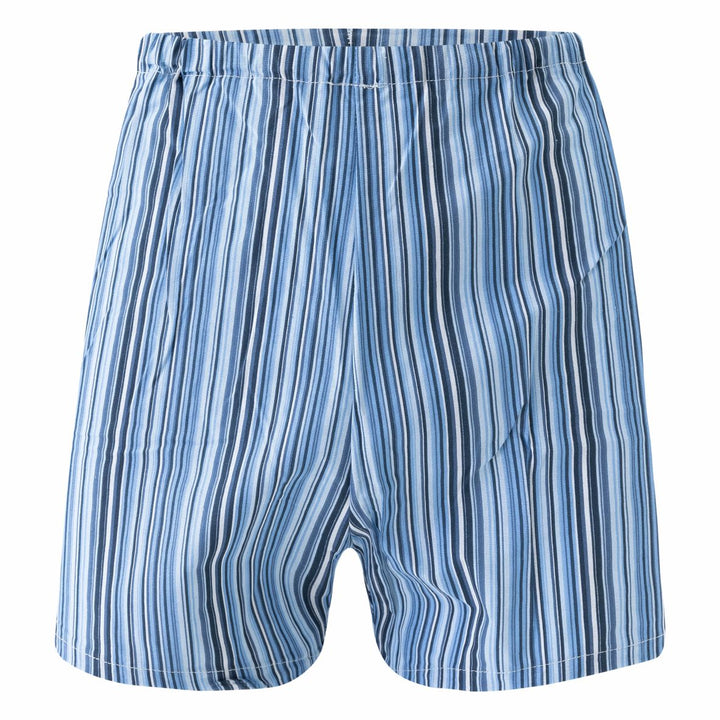 Men's boxer shorts G388 - 4 pcs in a pack