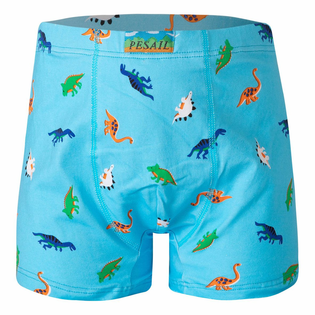 Boys' boxer shorts Dinosaur PE-XQ2635 4 pieces in a pack