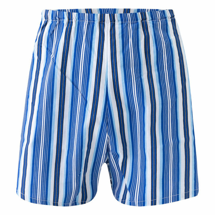 Men's boxer shorts G388 - 4 pcs in a pack