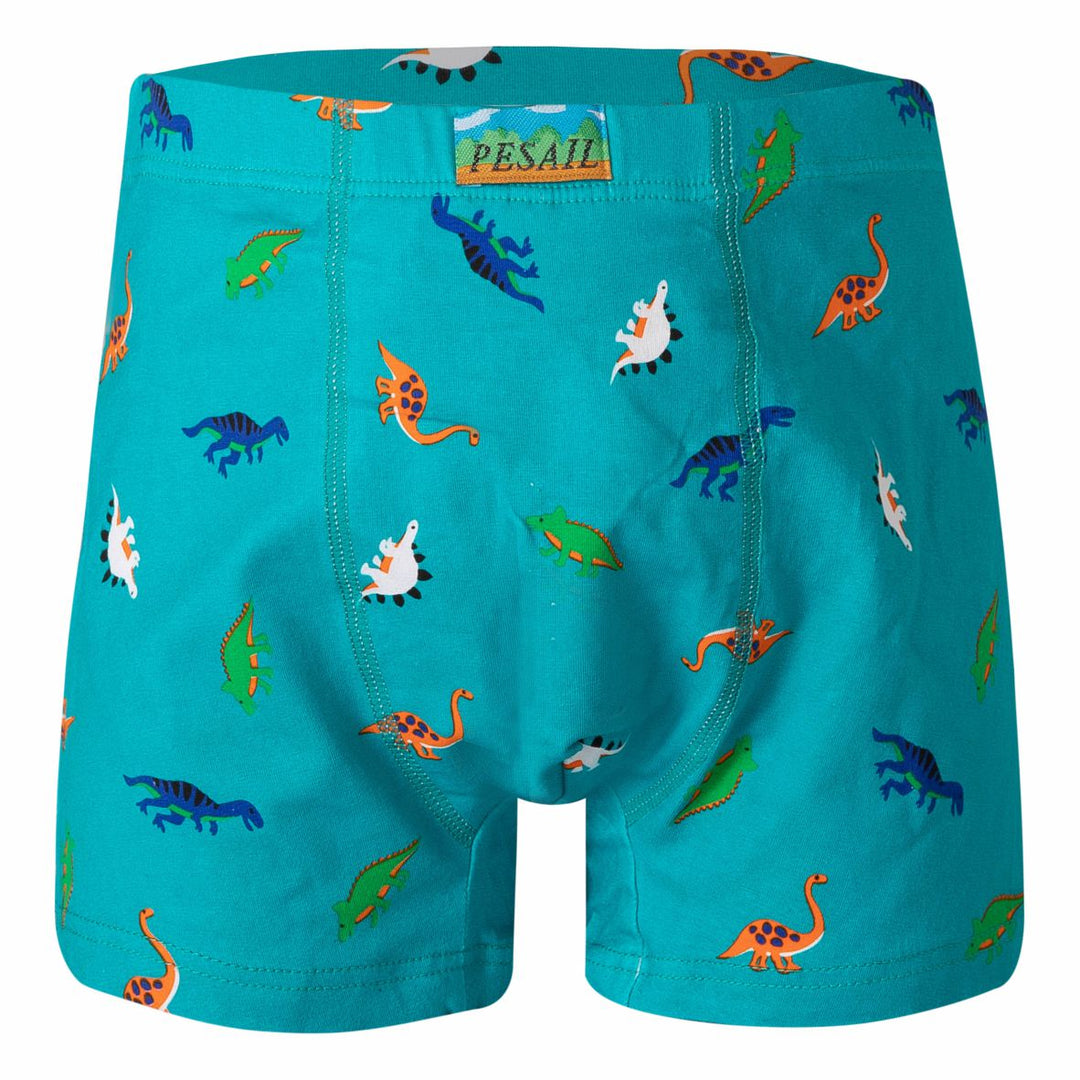 Boys' boxer shorts Dinosaur PE-XQ2635 4 pieces in a pack