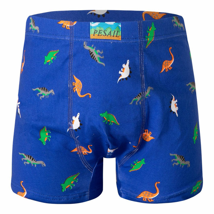 Boys' boxer shorts Dinosaur PE-XQ2635 4 pieces in a pack