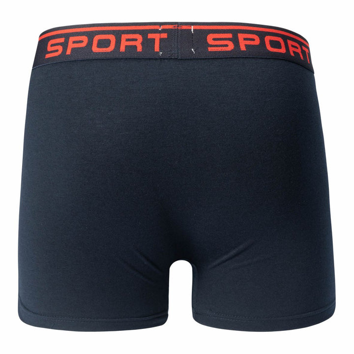 Men's boxer shorts SPORT T091 4 pieces in a pack