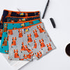 Teen cotton classic flexible breathable boxers TIGER ZQ5002 4pcs in a pack
