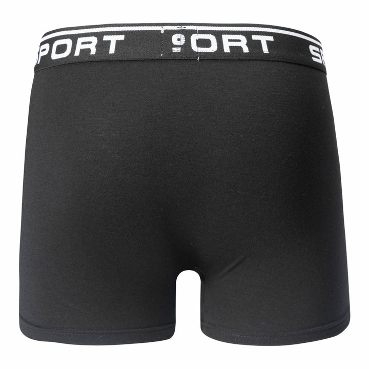 Men's boxer shorts SPORT T091 4 pieces in a pack