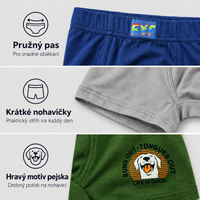ZQ5208 boys dog motif boxer briefs details