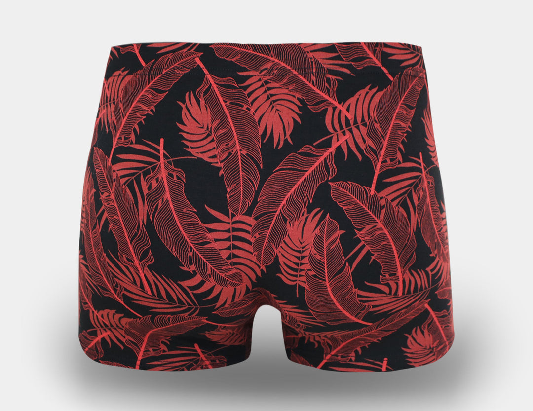 Men's cotton boxers G5119 - 4 pcs in a pack