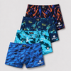 FANNIFEN Boys’s Printed Boxer Briefs UM6824 - 4pcs in a pack